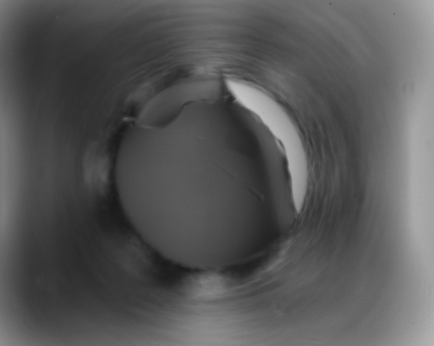 X0000088200219200705292039