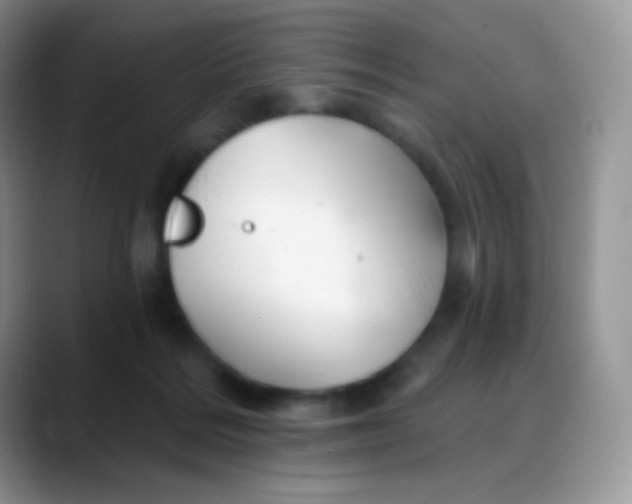 X0000088200220200705292039