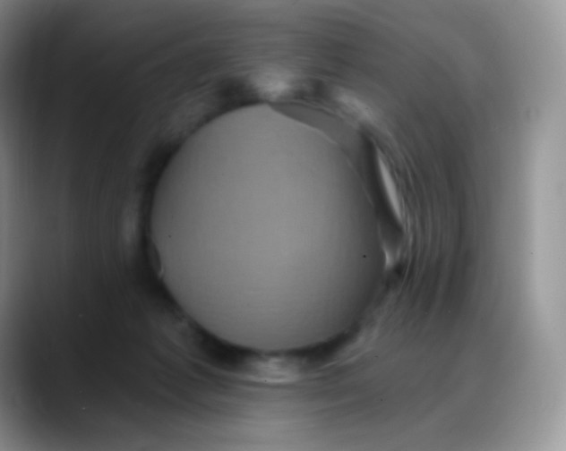 X0000088200221200705292039