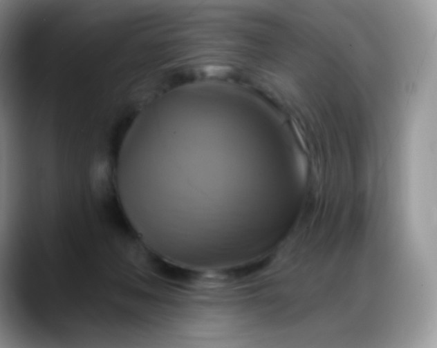 X0000088200222200705292039