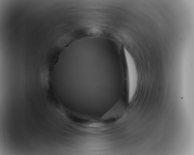 X0000088200223200705292039