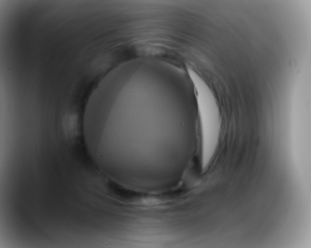 X0000088200224200705292039