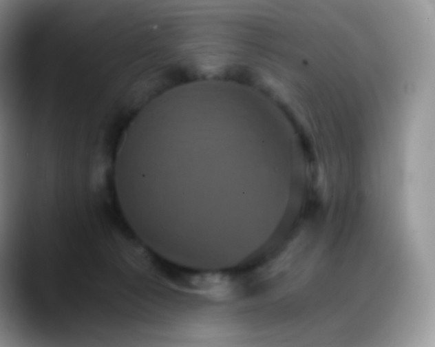 X0000088200225200705292039