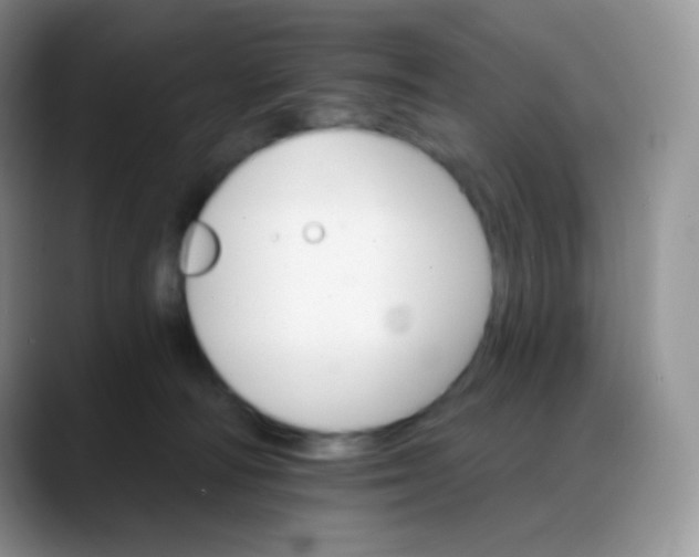 X0000088200226200705292039