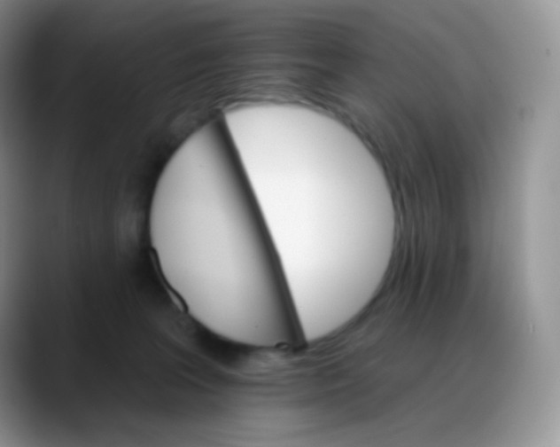 X0000088200227200705292039