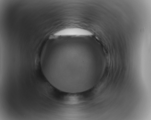 X0000088200228200705292039