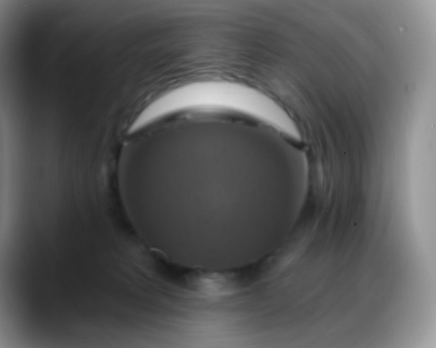 X0000088200229200705292039