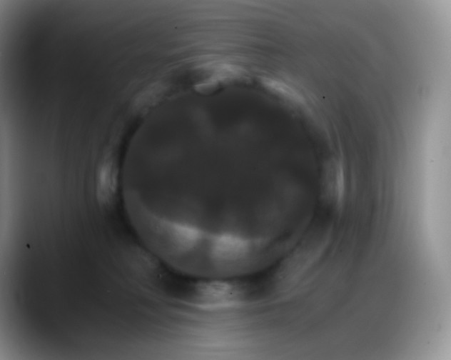 X0000088200230200705292039