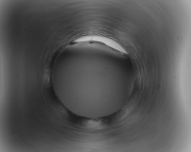 X0000088200232200705292039