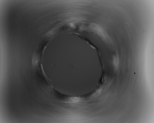 X0000088200233200705292039