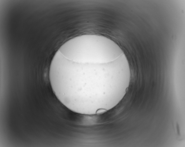 X0000088200234200705292039