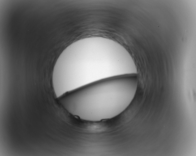 X0000088200235200705292039