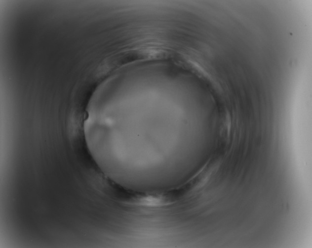 X0000088200236200705292039