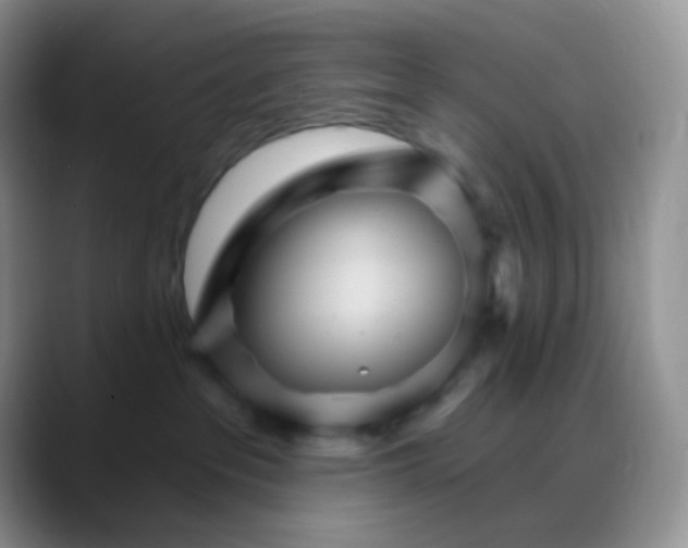 X0000088200237200705292039