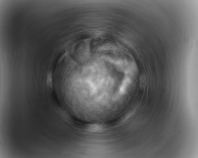 X0000088200238200705292039