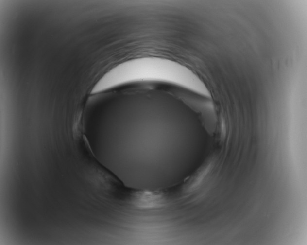 X0000088200239200705292039