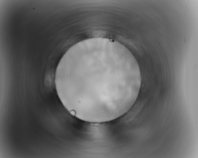 X0000088200240200705292039