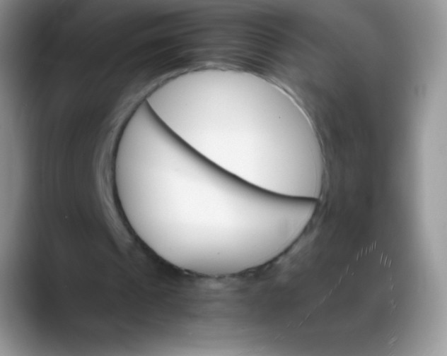 X0000088200241200705292038