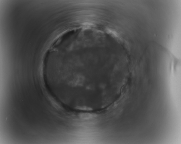 X0000088200242200705292038