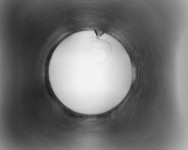 X0000088200243200705292038