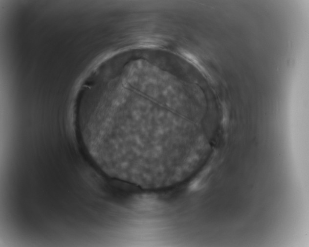 X0000088200244200705292038