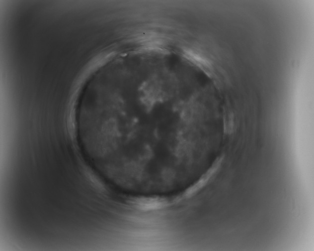 X0000088200245200705292038