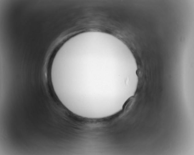 X0000088200246200705292038