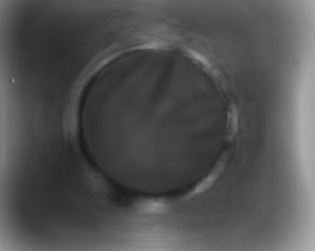 X0000088200247200705292038