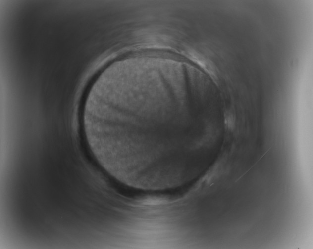 X0000088200248200705292038