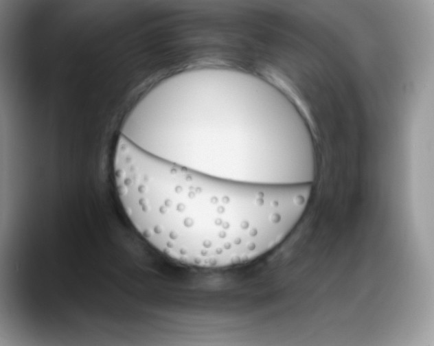 X0000088200249200705292038