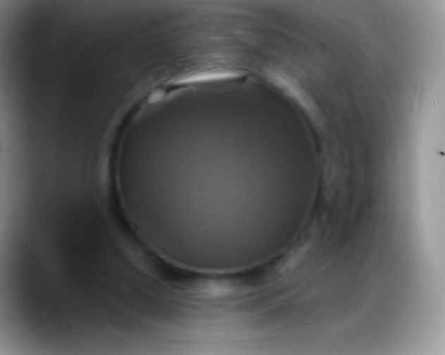 X0000088200250200705292038