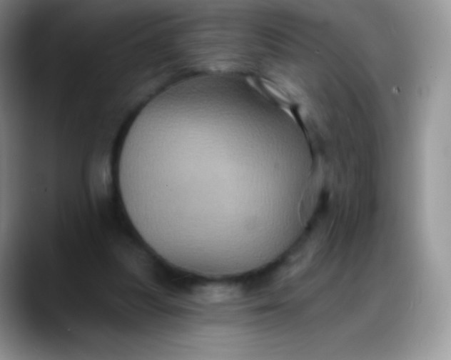 X0000088200251200705292038