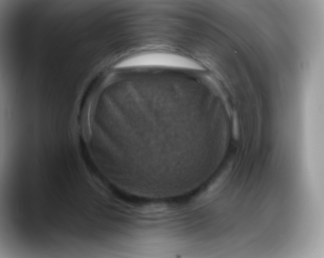 X0000088200252200705292038