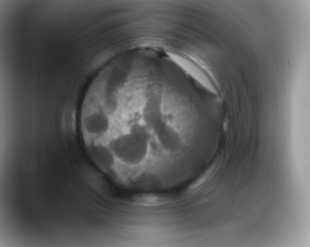 X0000088200253200705292038