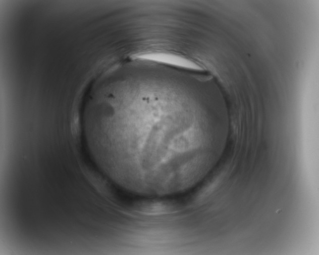 X0000088200254200705292038