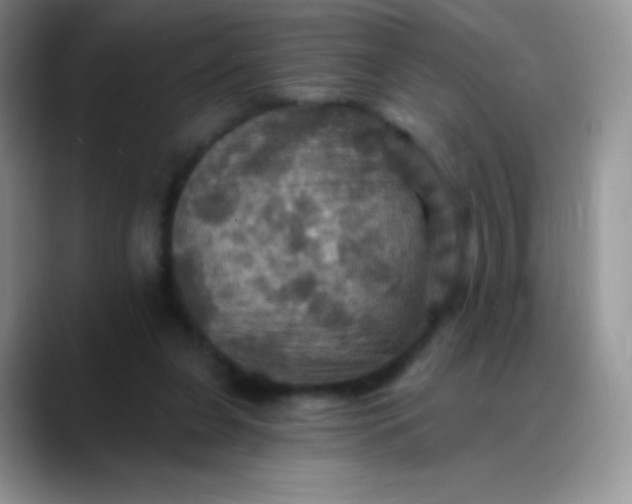 X0000088200255200705292038