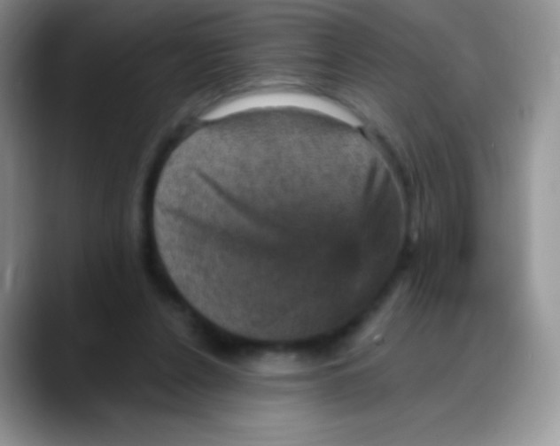 X0000088200256200705292038