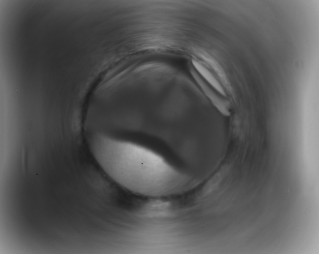 X0000088200257200705292038