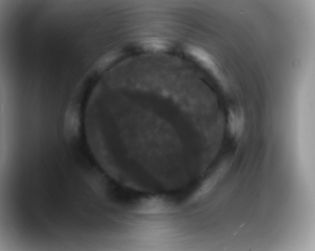 X0000088200259200705292038