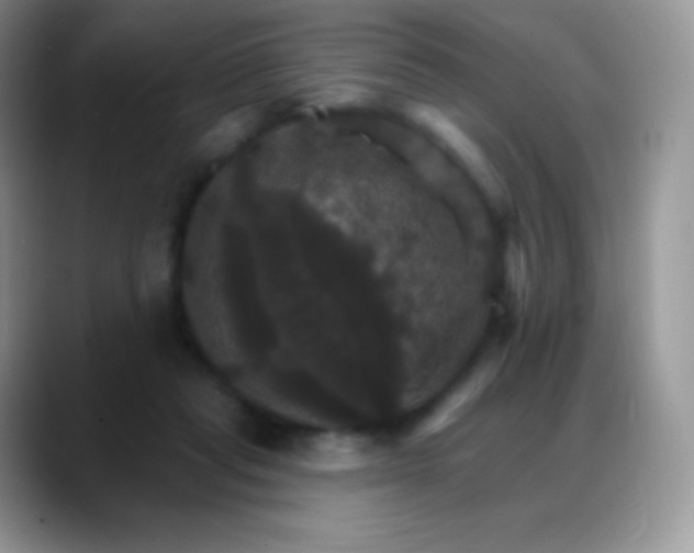 X0000088200261200705292038