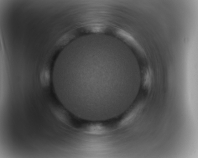 X0000088200262200705292038