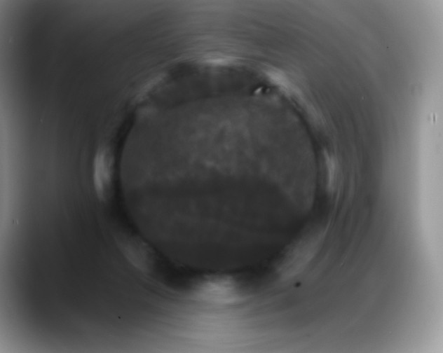 X0000088200263200705292038