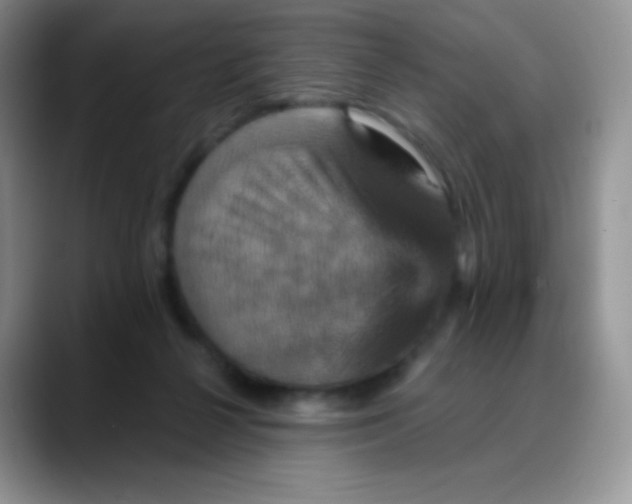 X0000088200264200705292038