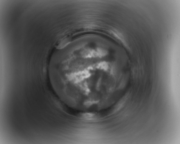 X0000088200265200705292038