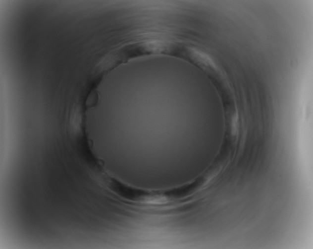 X0000088200266200705292038