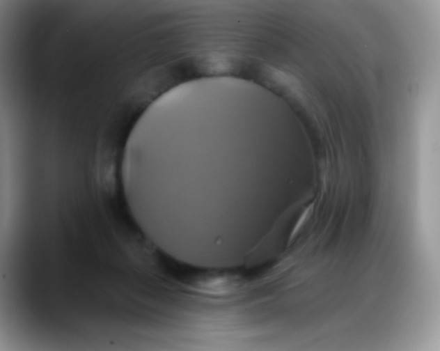 X0000088200267200705292038