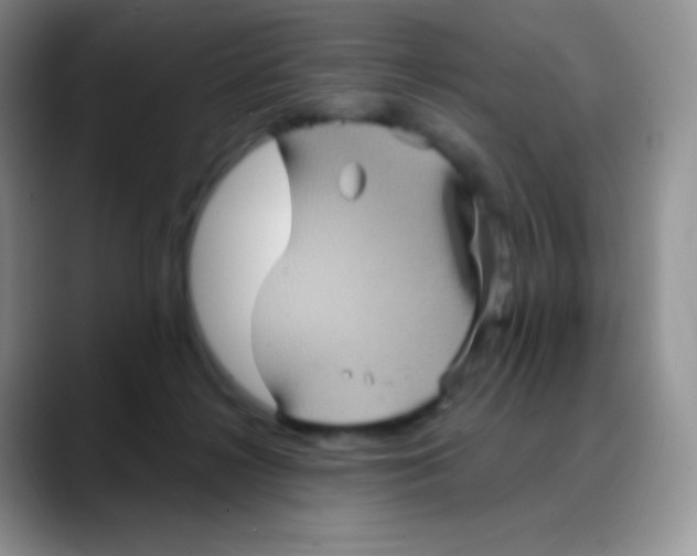 X0000088200268200705292038