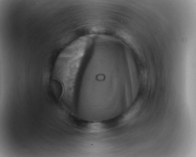 X0000088200269200705292038