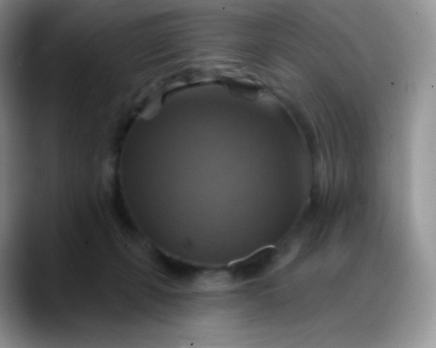 X0000088200271200705292038