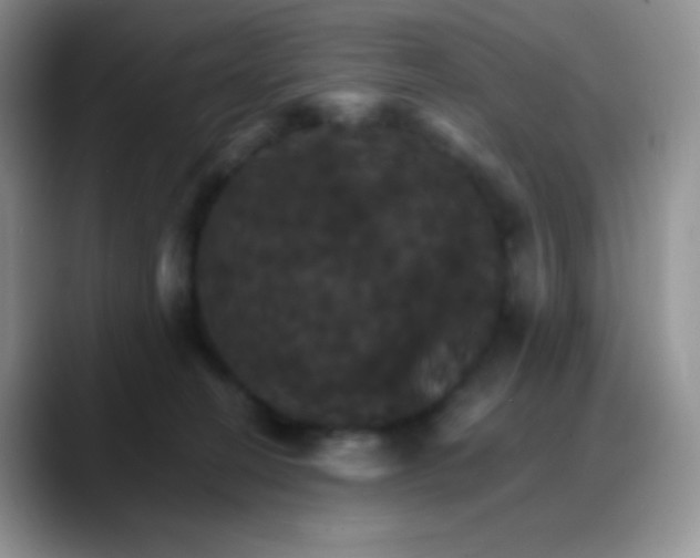 X0000088200274200705292038